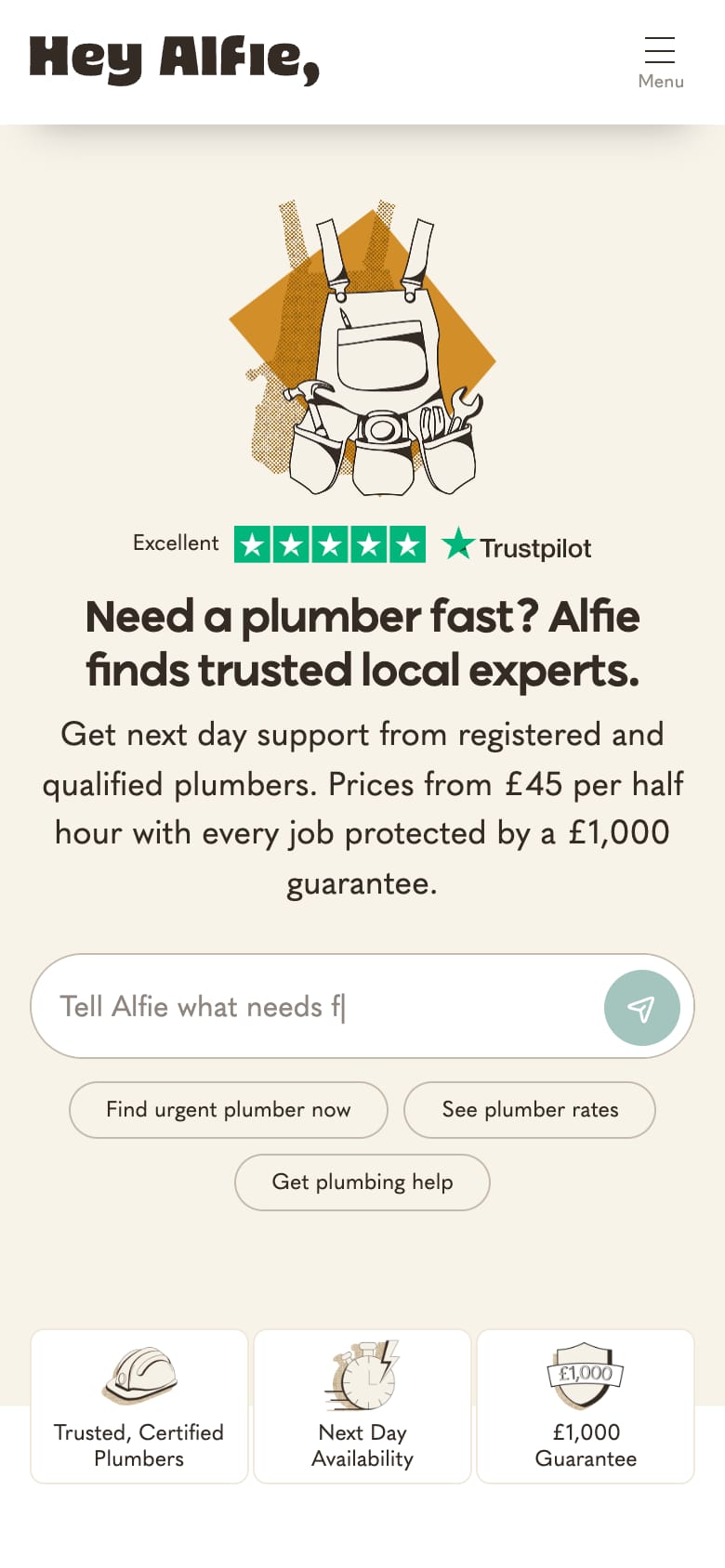 Strona Hey Alfie na mobile, wersja 2025: strona hydraulika